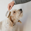 Brosse double face chiens et chats André Jardin