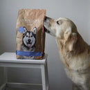 Croquettes chien adulte saumon & truite, patate douce & spiruline – DOG’S LOVE