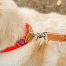 Collier pour chien cuir et tissu Inca Orange