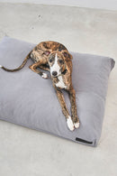 Coussin pour chien Comodo