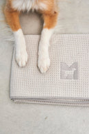 Serviette absorbante pour chien microfibres