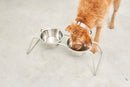 Double écuelle design pour chien Cena