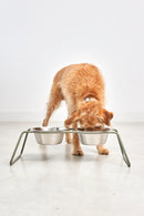 Double écuelle design pour chien Cena