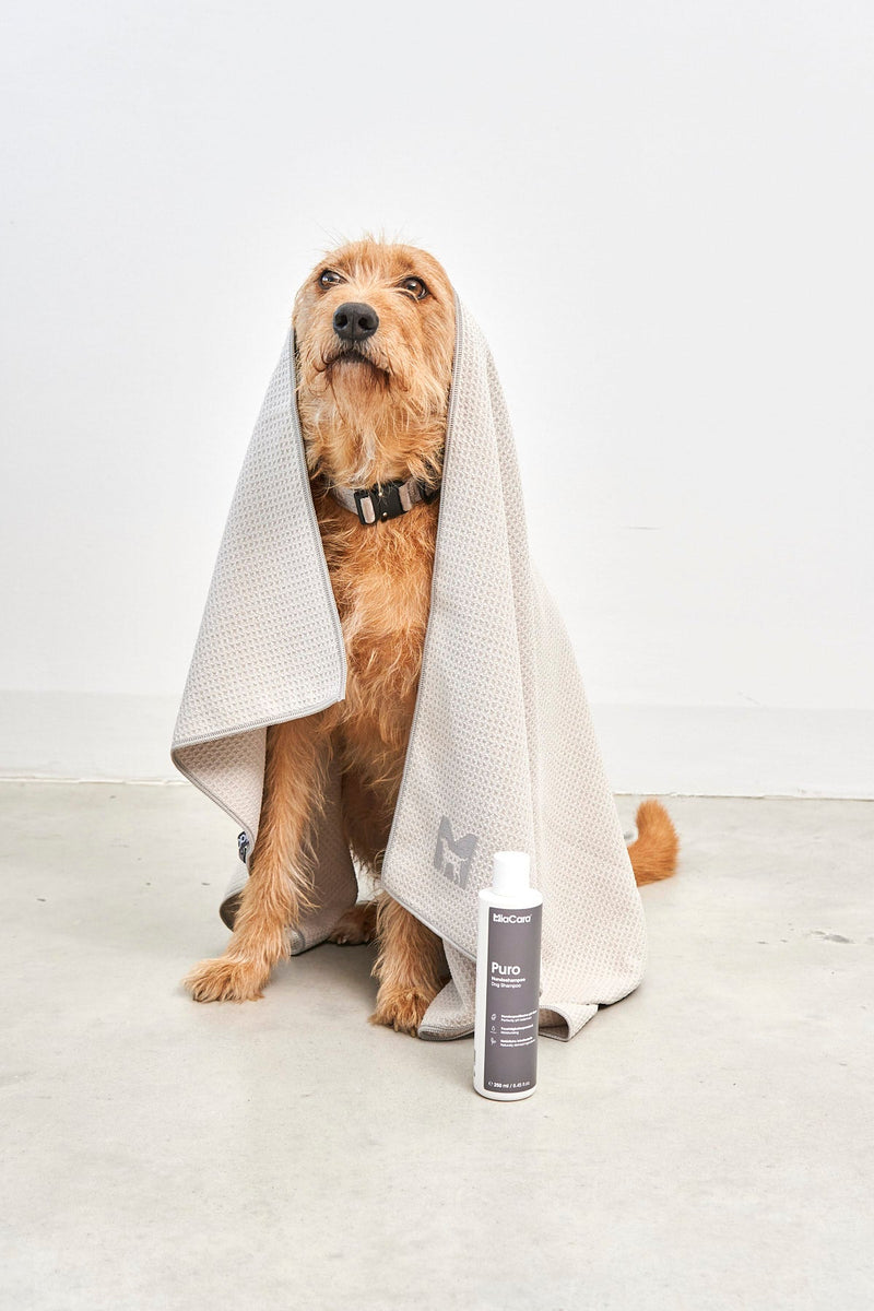 Serviette absorbante pour chien microfibres