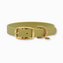 Collier pour chien en tpu vert