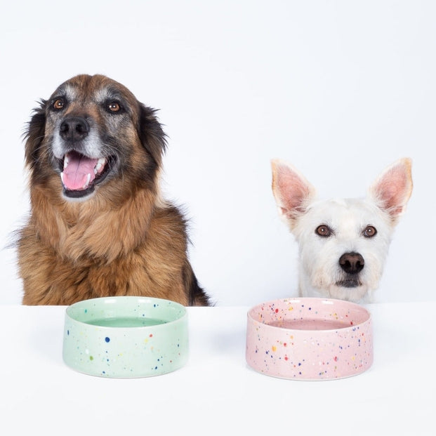 Bol Party pour chien en céramique artisanale