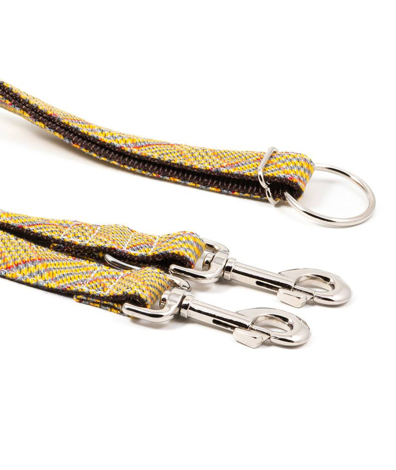 Laisse pour chien Salardu