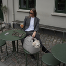 Sac de transport pour chien Carrier Bag Curl Taupe – Staey