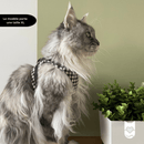 Harnais pour chat ROMY'NOU