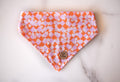 Bandana pour chien stylé