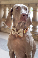 Nœud Papillon de Noël pour Chien – Atelier Markiz