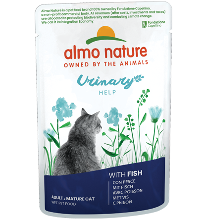 Alimentation pour chat problèmes urinaires (poisson)