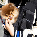 Sac de transport en bandoulière pour chien et chat – Weloca