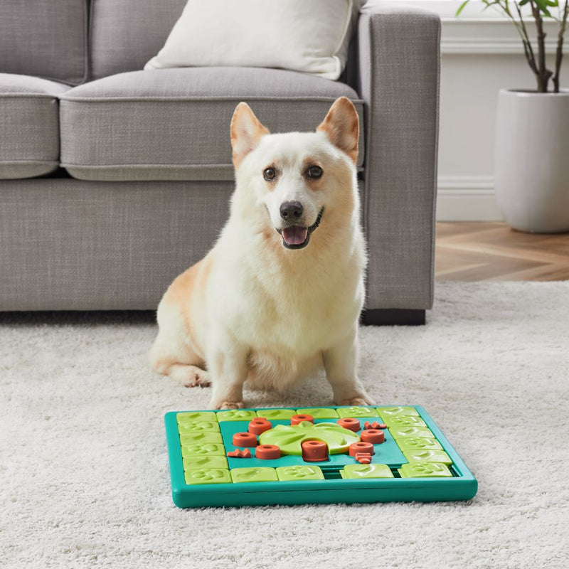 Puzzle interactif pour chien Multipuzzle Niv.4