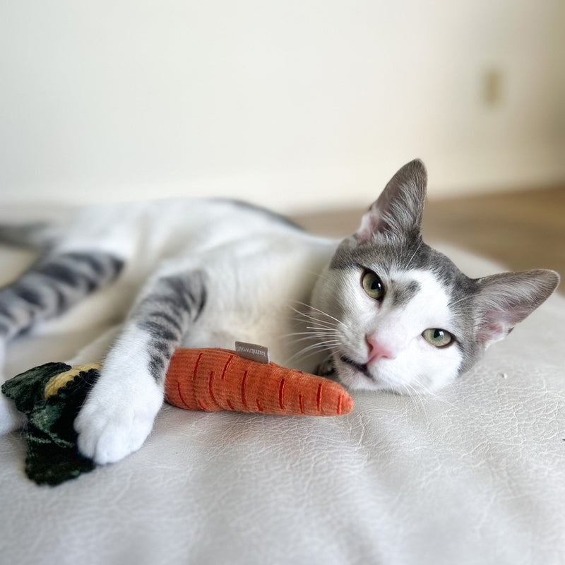 Jouets pour chat à la cataire Kitty baby carrots