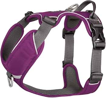 Harnais pour chien Dog Copenhagen Comfort Walk Pro
