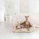 Lit Premium Tahoe pour chien – B de Bruno