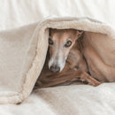 Lit Premium Tahoe pour chien – B de Bruno