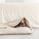 Lit Premium Tahoe pour chien – B de Bruno