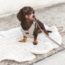 Sac de transport convertible en couchage Tahoe – B de Bruno