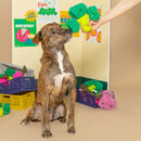 Jouet Brocolis Nosework pour Chien The FurryFolks