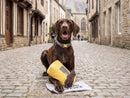 Jouet pour Chien Beurre Salé – French Bandit