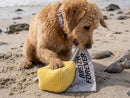 Jouet pour Chien Beurre Salé – French Bandit