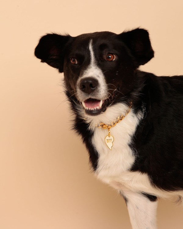 Médailles personnalisables chiens Brooch