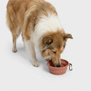 Gamelle de voyage pliable AKTIV pour chien – Cloud7