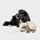 Mosquito Momo – Jouet sensoriel résistant pour chien