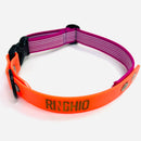 Collier DUO biothane pour chien