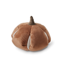 Jouet pour chien de fouille citrouille