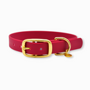 Collier pour chien en tpu grenat