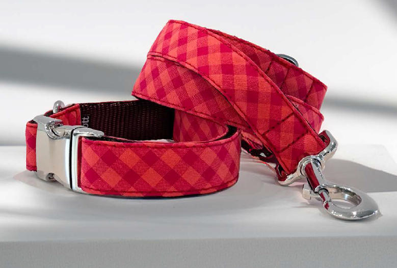 Collier pour chien Granada