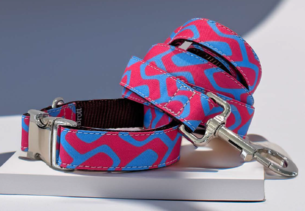 Laisse pour chien Ceret