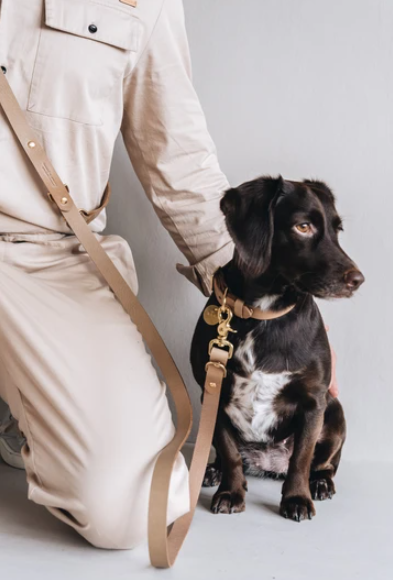 Laisse fine pour chien en cuir ajustable Lasso Air Band & Roll