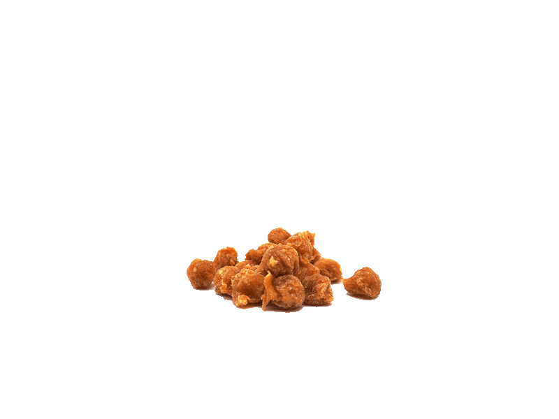 Motel Miau – Calendrier de l’Avent pour chats