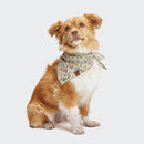 Bandana pour chien Flower Squares
