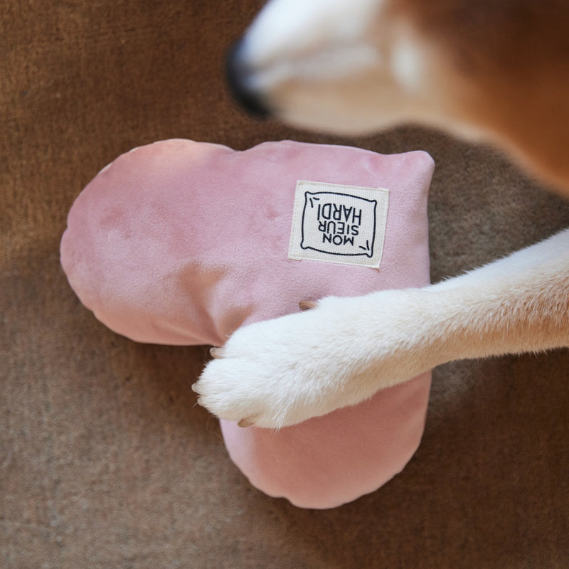 Coussin Cœur pour Chien - Jouet et Oreiller Douillet