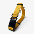 Collier chien recyclé Boop the Snoop