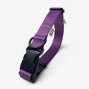 Collier chien recyclé Boop the Snoop