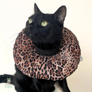 Collerette confort pour chat et petits chiens