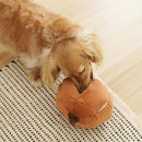 Jouet pour chien de fouille citrouille