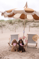 Bandanas pour chien colorés