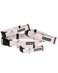 Collier Fluorescent Lumineux pour Chien Glow – PAIKKA