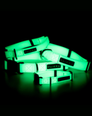 Collier Fluorescent Lumineux pour Chien Glow – PAIKKA