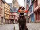 Jouet pour Chien Galette Saucisse Je t’aime – French Bandit
