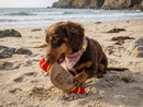 Jouet pour Chien Galette Saucisse Je t’aime – French Bandit
