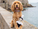 Jouet pour Chien Mam' Breizh – French Bandit