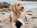 Jouet pour Chien Mam' Breizh – French Bandit